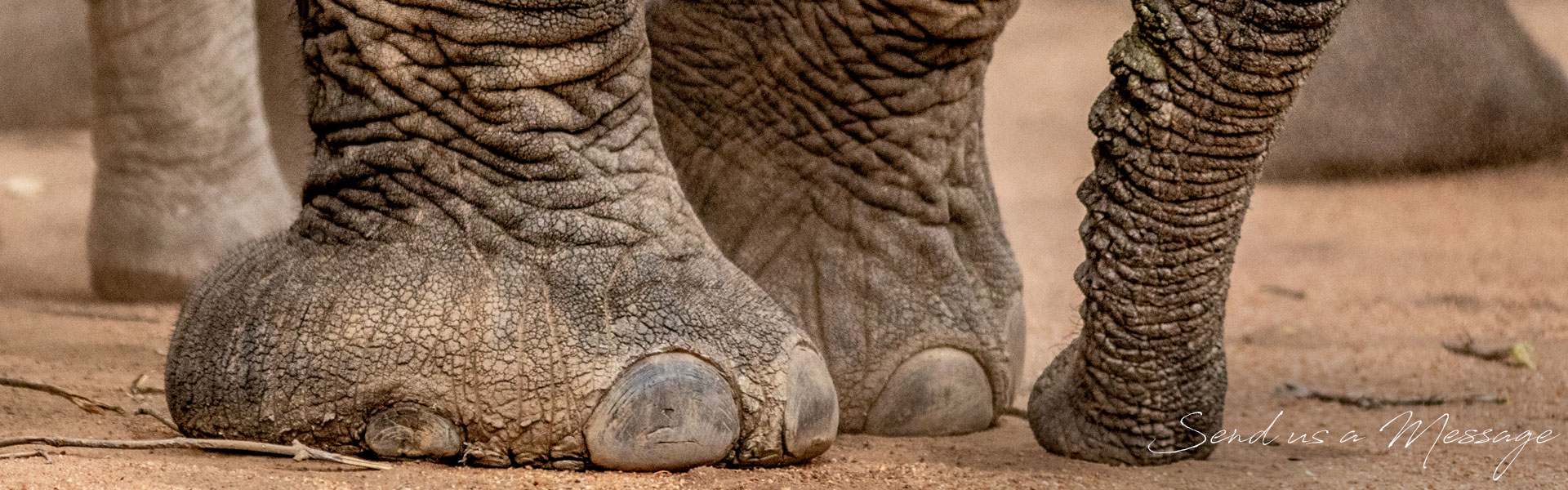 Contact Pridelands in Hoedspruit